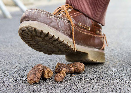 Leather shoes. Stepped in a puddle and now there are these stains