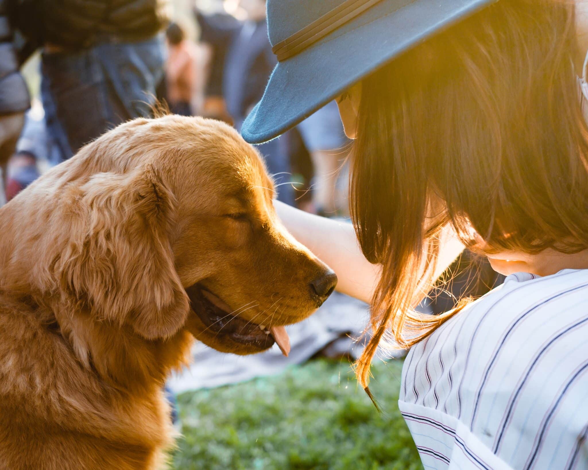 Lacey Pet Cleanup