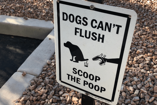 burien poop scoop service