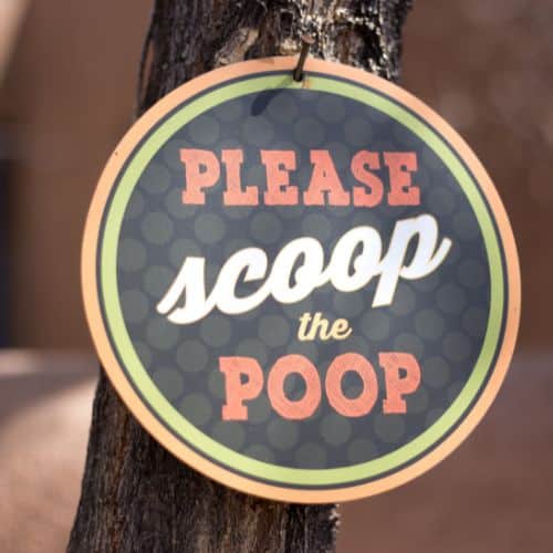 Please scoop the poop sign.