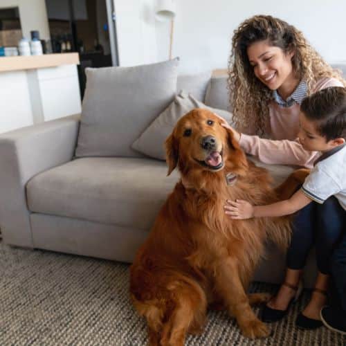 Family playing with dog.