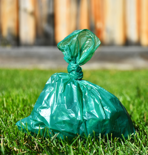 Pet Waste Removal Poulsbo