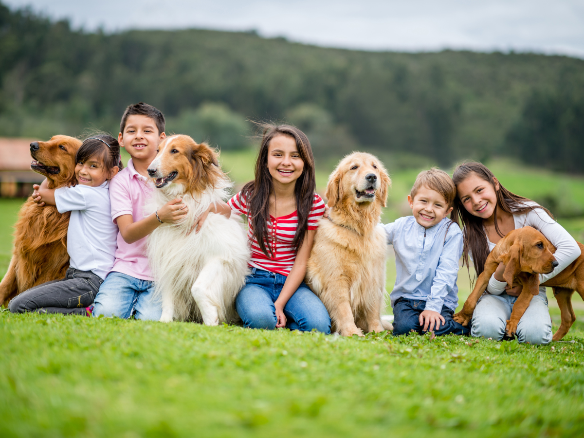 Poulsbo Pet Cleanup