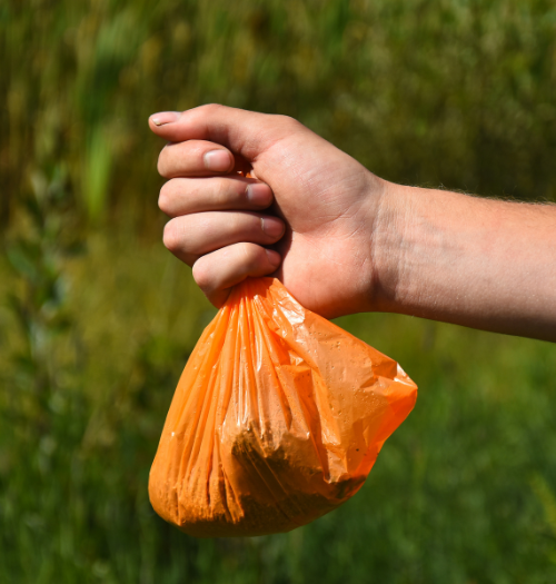 SeaTac Poop Scoop Service SeaTac Poop Scoop Service