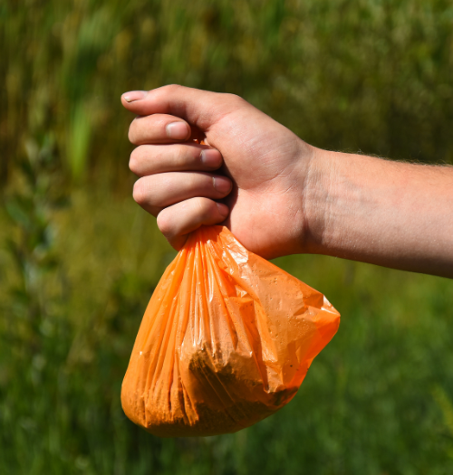 Tukwila Poop Scoop Service