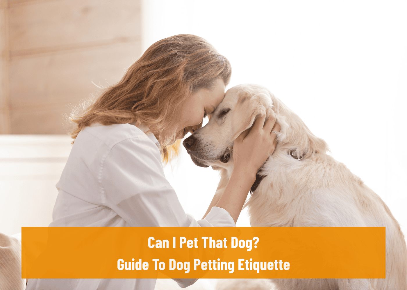 Can I Pet That Dog Guide To Dog Petting Etiquette