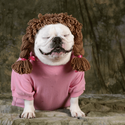 washougal pooper scooper service